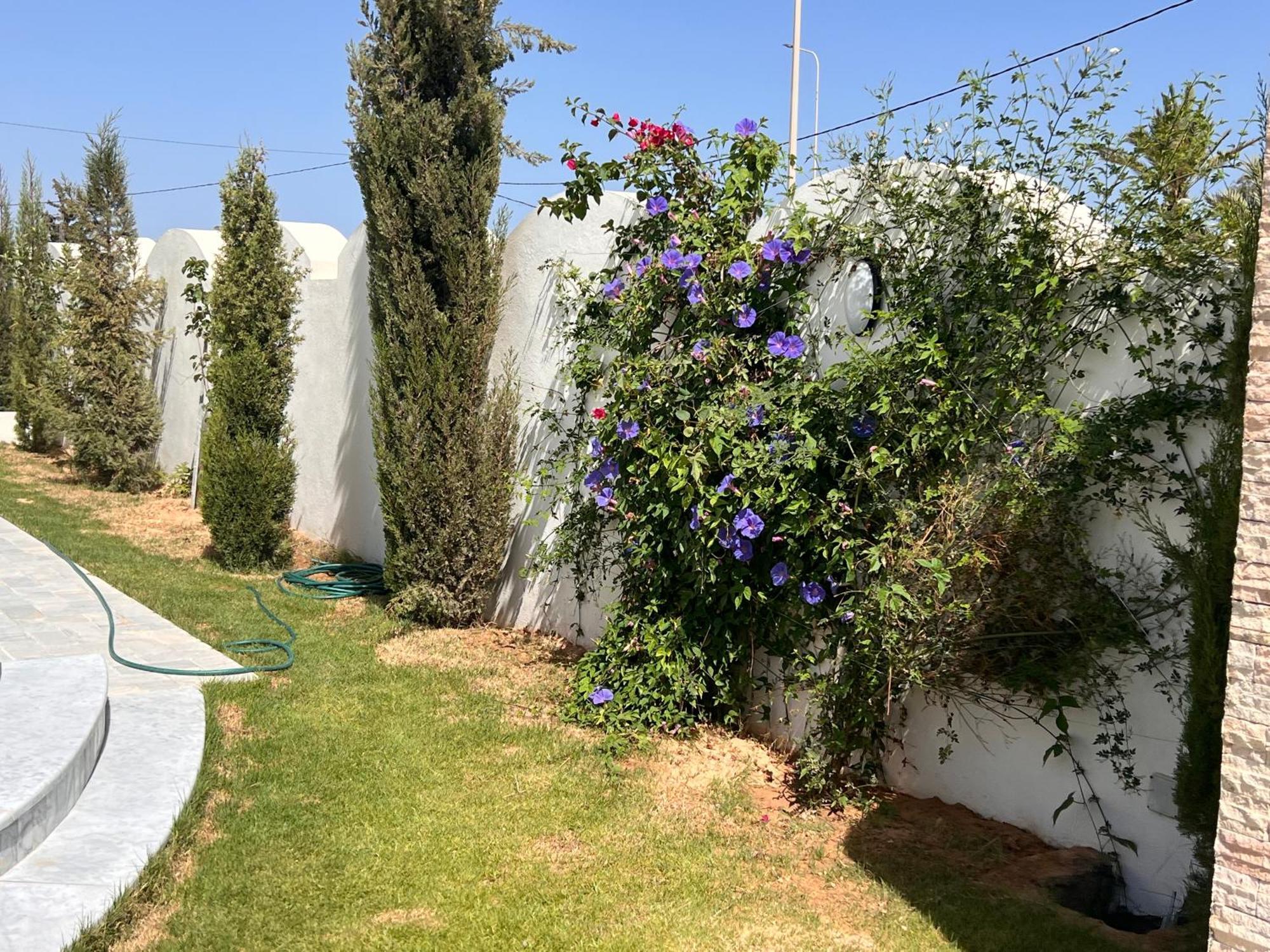 Villalina Haut Standing Djerba Ajim Dış mekan fotoğraf